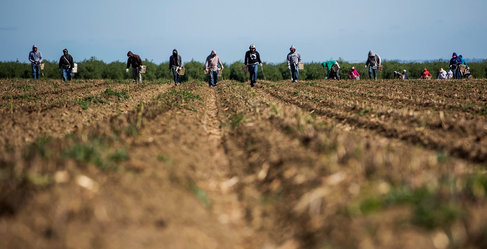 to-kathestos-forologisis-ton-agrotikon-eisroon-54533