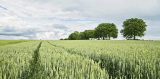 Ευρώπη δύο ταχυτήτων στον αγροτικό τομέα, ο νότος σπέρνει ο βορράς θερίζει