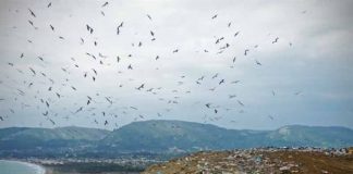 Ζάκυνθος: Προειδοποιούν για αποκλεισμό της πρόσβασης στον ΧΥΤΑ