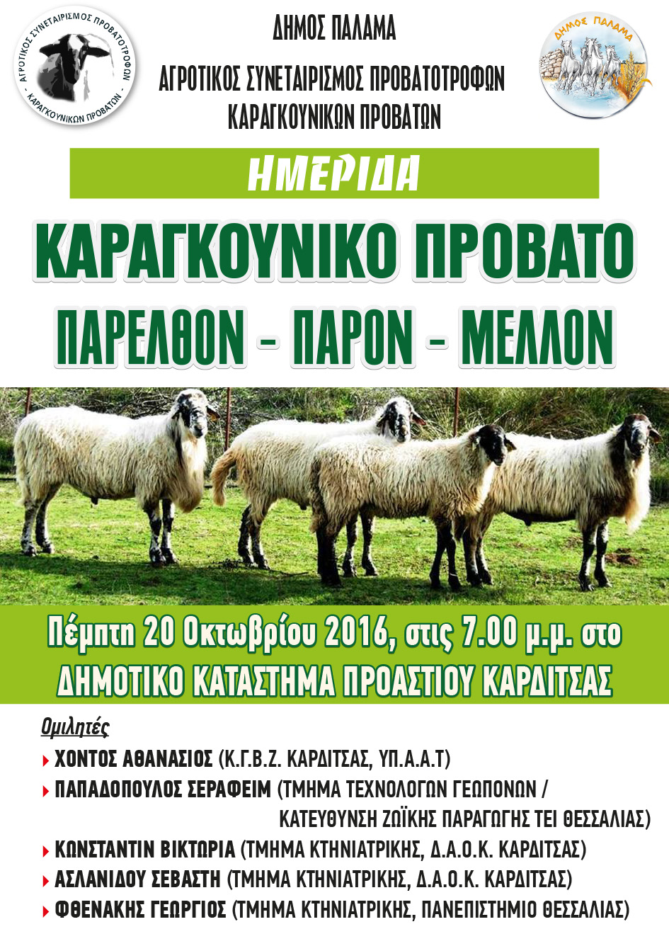 karagkouniko provato afisa