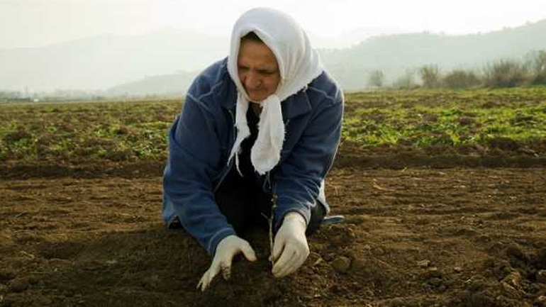 to-ypaat-gia-tin-pagkosmia-imera-agrotissas-57552