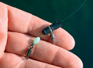 Τσιπούρα του Οκτώβρη: Απρόβλεπτη, μοναχική και… πονηρή