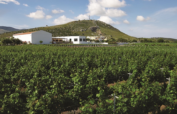 Κρασί από την Κω με άρωμα γυναίκας