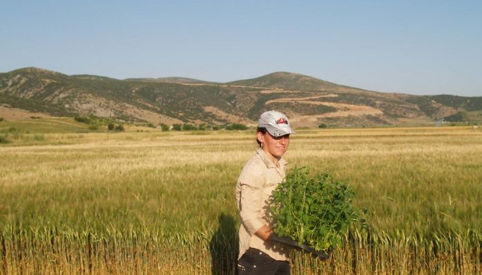 Ημερίδα για την Ελληνίδα Αγρότισσα από το ΥΠΑΑΤ την Τρίτη 16 Οκτωβρίου Ημερίδα για την Ελληνίδα Αγρότισσα από το ΥΠΑΑΤ την Τρίτη 16 Οκτωβρίου