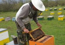 Ενημέρωση των μελισσοκόμων από την ΔΑΟΚ Αργολίδας