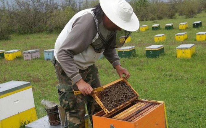 Ενημέρωση των μελισσοκόμων από την ΔΑΟΚ Αργολίδας
