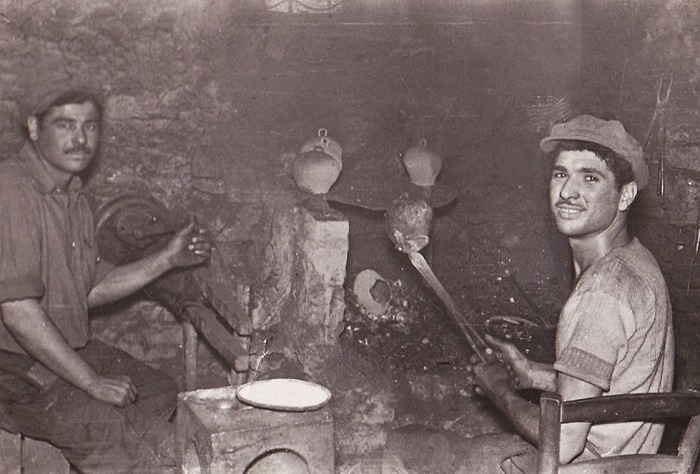 Η μελωδία των αμνών