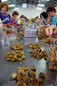 αποξηραμένα σύκα Μονάδα αποξήρανσης φρούτων με τη στήριξη του ΠΑΑ
