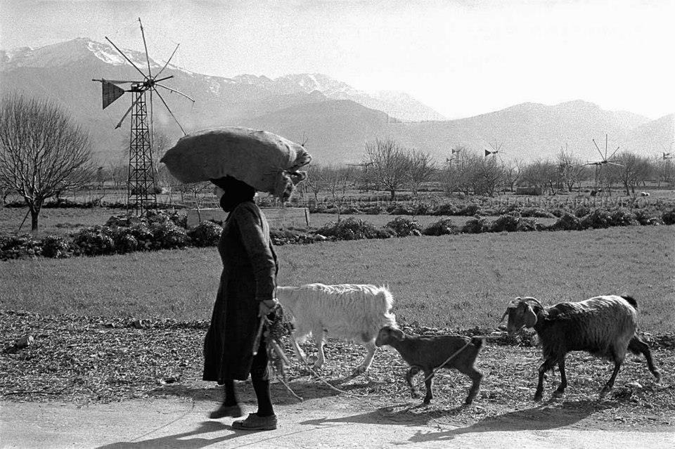 Οι αγρότισσες δεν κάνουν μισές δουλειές...