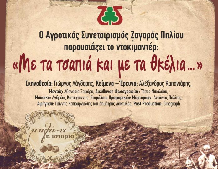 Ολοκληρώθηκαν οι εκδηλώσεις για τα 100 χρόνια δράσης του ΑΣ Ζαγοράς Ολοκληρώθηκαν οι εκδηλώσεις για τα 100 χρόνια δράσης του ΑΣ Ζαγοράς