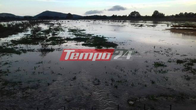 Ανυπολόγιστες οι ζημιές στη Δ. Ελλάδα - Βούλιαξαν καλλιέργειες στα λασπόνερα