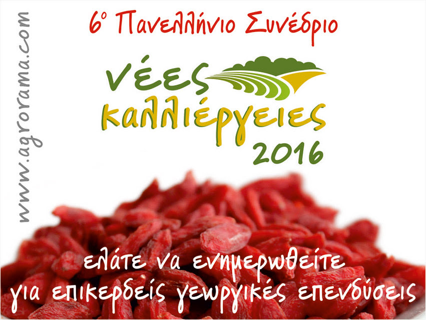 6o-panellinio-synedrio-gia-nees-kalliergeies-prooptikes-dynatotites-62674