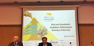 Εμπορικό όπλο για το ελαιόλαδο οι φαρμακετευτικές του ιδιότητες