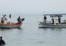 Εξέταση των νόμων που καλύπτουν το σύνολο των φόρων και των τελών των αλιέων ζητούν βουλευτές του ΣΥΡΙΖΑ