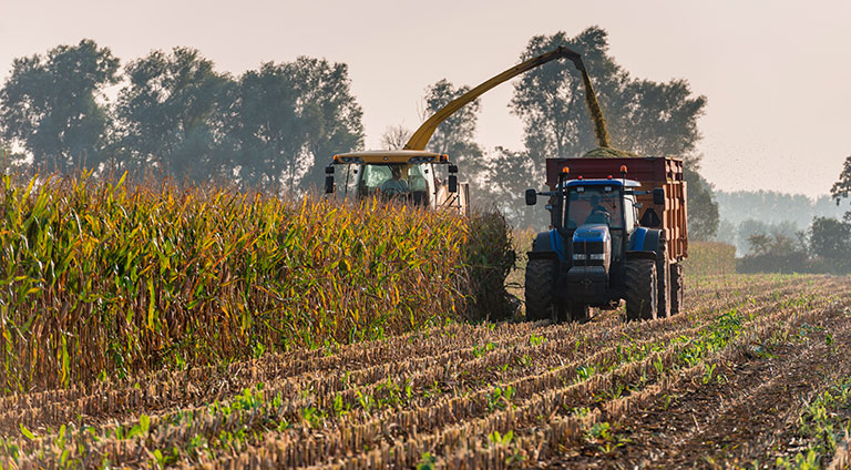 ameses-enischyseis-426-dis-evro-gia-tous-agrotes-sto-neo-proypologismo-tis-e-e-62789
