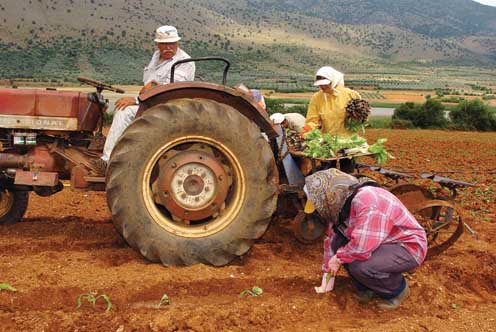ypochorisan-oi-times-ton-agrotikon-proionton-to-septemvrio-62408