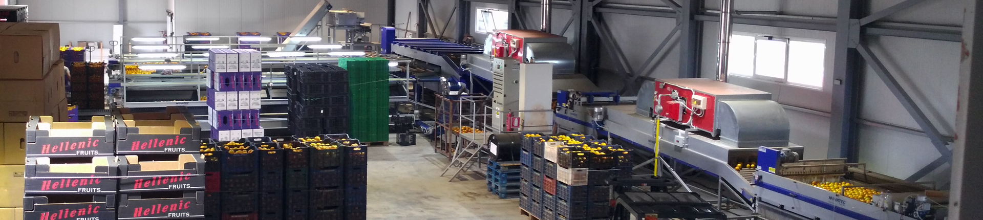 agrotikos-sinetairismos-sparta-orange