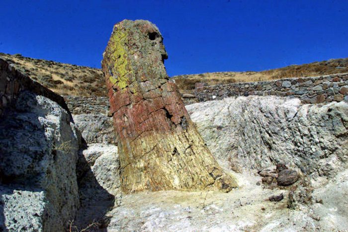 provoli-tou-apolithomenou-dasous-sto-national-geographic-tis-kinas-60119