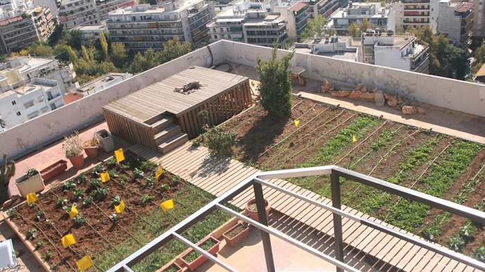 city-farm-o-krikos-pou-enonei-tin-astiki-me-tin-agrotiki-zoi-64767
