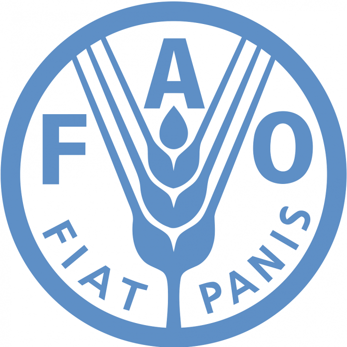 FAO: Οι διεθνείς τιμές τροφίμων αυξήθηκαν τον Οκτώβριο
