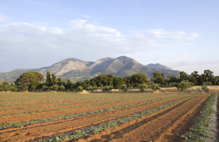 Aγρόκτημα- πρότυπο για τη βιώσιμη γεωργία από την Greenpeace