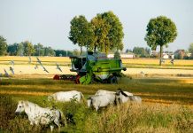 Η γεωργία στο περιθώριο της Ευρώπης για το 2017