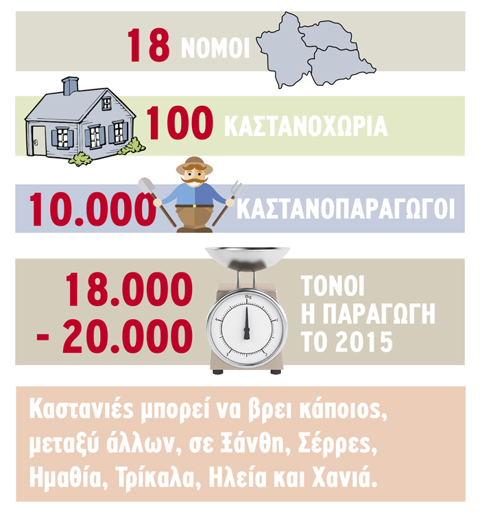 kastano-paragogi-infographic
