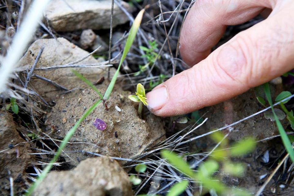 kentro-fisikis-kalliergeias-edessa