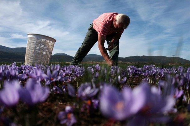 Προστασία έως το 2018 από τη μεταβίβαση κόκκινων δανείων αγροτών σε funds