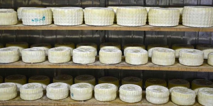 kritiko-tiri-anoigei-o-dromos-gia-sinergasia-me-prooptikes-2