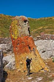 lesvos-mia-aigaiopelagitiki-symfonia8