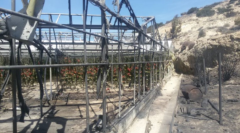 meta-apo-exi-mines-akomi-perimenoun-apozimioseis-stin-ierapetra-63086