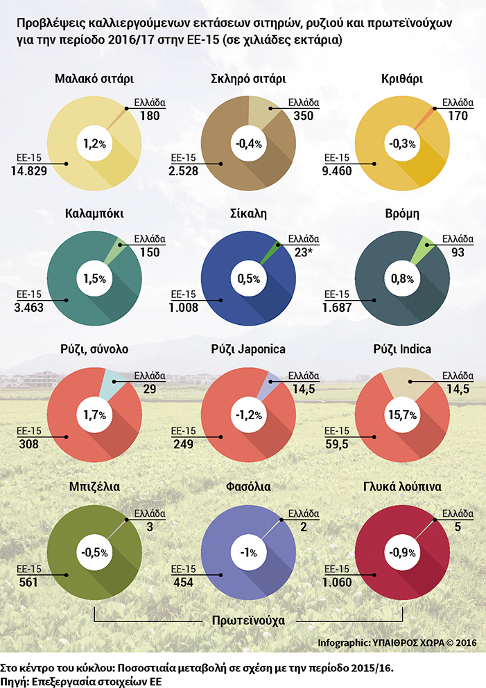 Το παζλ των φετινών φθινοπωρινών σπορών