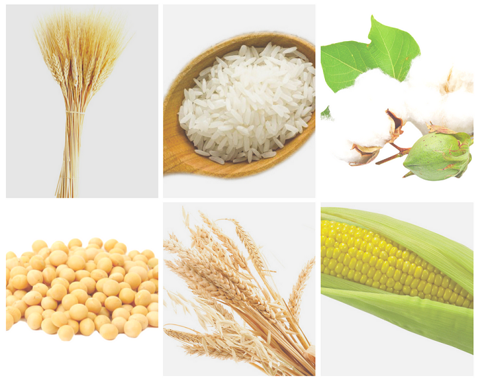 synerchontai-oi-agores-eborevmaton-apo-to-sok-tis-eklogikis-nikis-trab-62009