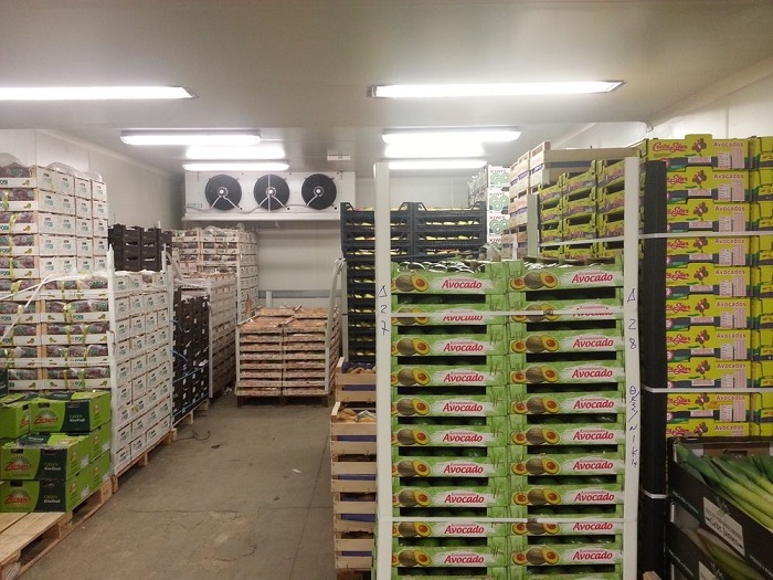 Στη δημιουργία θεματικού πάρκου προχωρά η ΚΑ Θεσσαλονίκης 