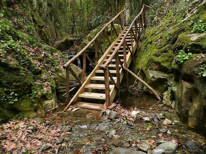 Στον Ταΰγετο για… Μπουκουβάλα