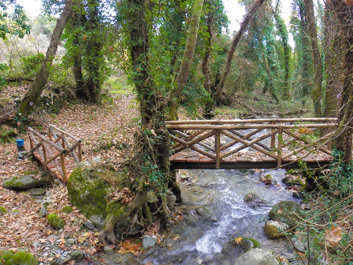 Στον Ταΰγετο για… Μπουκουβάλα