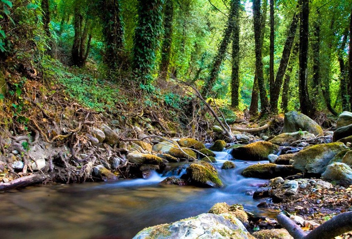 Στον Ταΰγετο για… Μπουκουβάλα