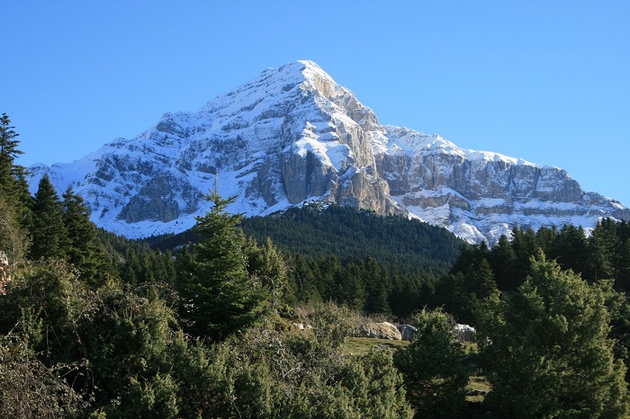tovouno-63984
