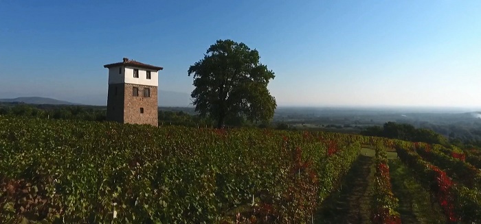 %ce%b5%ce%bb%ce%bb%ce%ac%ce%b4%ce%b1-%ce%b1-%cf%89-%ce%bd%ce%ac%ce%bf%cf%85%cf%83%ce%b1-5_cosmote-tv