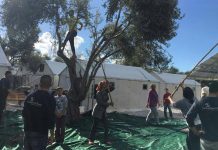Πρόσφυγες στη Μόρια έβγαλαν το δικό τους λάδι