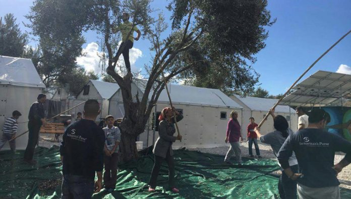 Πρόσφυγες στη Μόρια έβγαλαν το δικό τους λάδι Πρόσφυγες στη Μόρια έβγαλαν το δικό τους λάδι