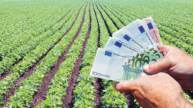 diefkriniseis-gia-to-forologiko-ton-agroton-zitoun-39-vouleftes-tou-syriza-66285