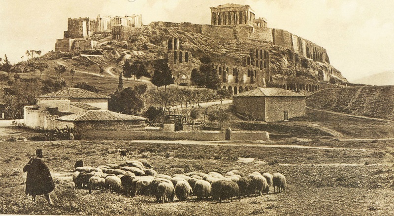 ΘΕΜΑ: Σε κρίσιμο σταυροδρόμι η αιγοπροβατοτροφία