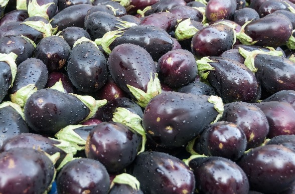 Ανασκόπηση των αγροτικών προϊόντων για το 2016