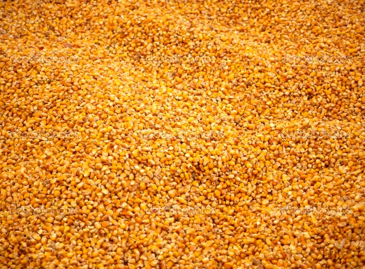 Ανασκόπηση των αγροτικών προϊόντων για το 2016