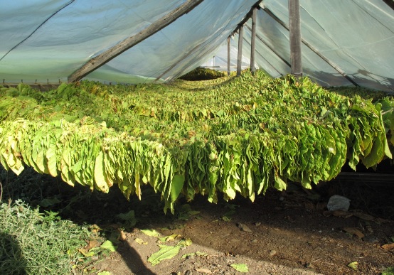 Ανασκόπηση των αγροτικών προϊόντων για το 2016