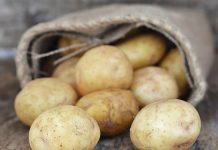 Ανοδικές τάσεις κατέγραφε η τιμή για την πατάτα της Βοιωτίας