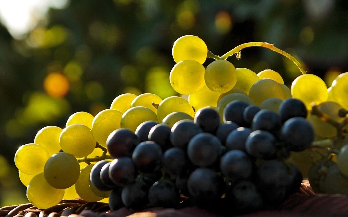 incofruit-provlima-me-tin-exagogi-ton-epitrapezion-stafylion-praxi-anefthynotitas-i-proori-sygkomidi-aktinidion-65256