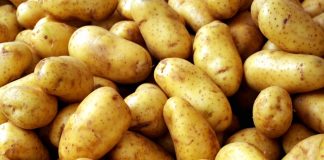 «Φίλησε» τα 80 λεπτά η τιμή της φρέσκιας πατάτας Αμαλιάδας
